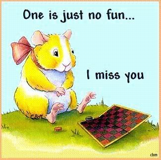 I Miss You Sooooooooooooo Much…
