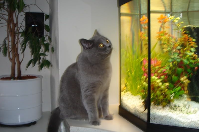 DSC08103.jpg