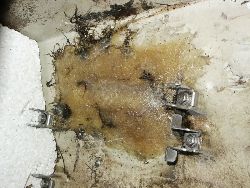 PICT1134.jpg