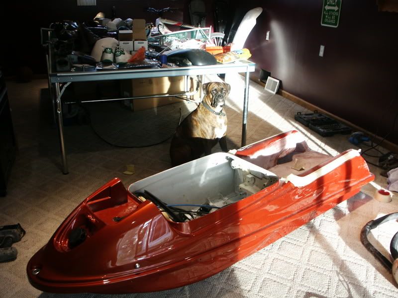 PICT1556.jpg