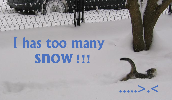 TooManySnow.png