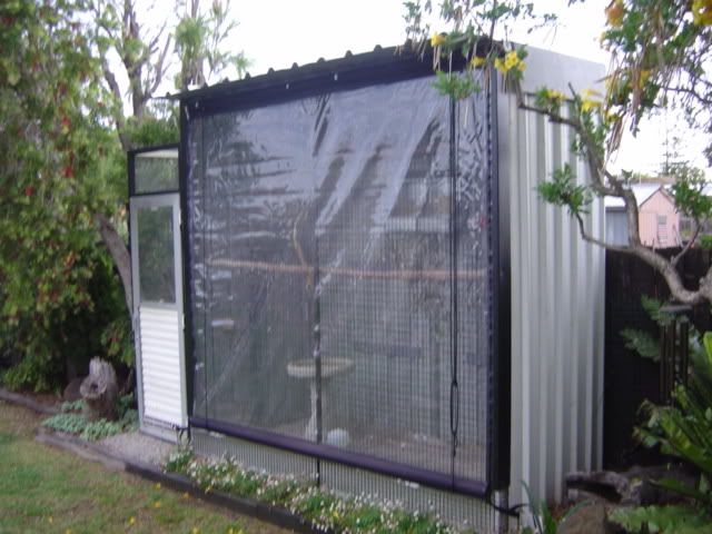 DSC05494.jpg