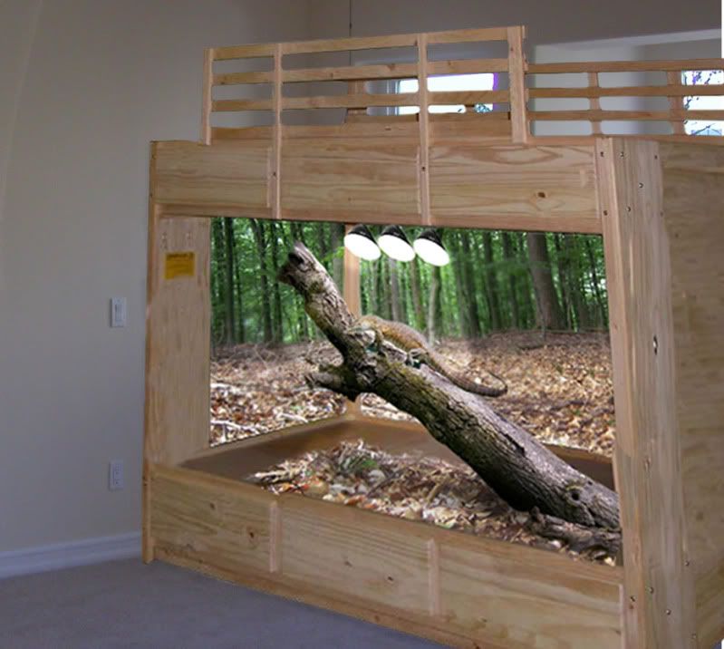 Bunkbedcage02.jpg