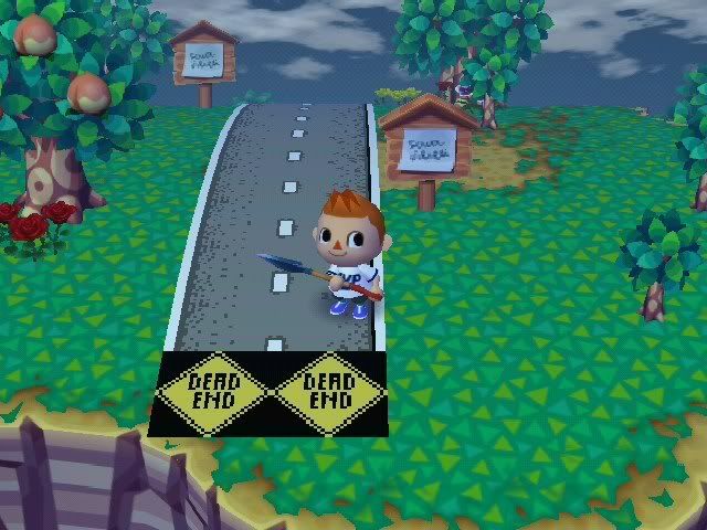 AnimalCrossing165.jpg