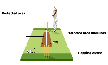 cricket