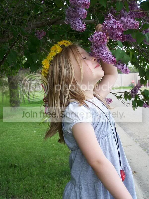 flowers.jpg