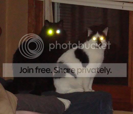 jackandsnickers.jpg