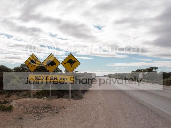 coolroad.jpg