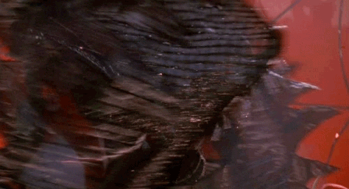 photo Elvira_cape_zpsadn3vxoq.gif