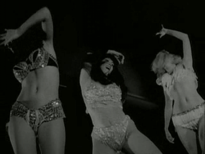 photo faster_pussycat_watusi_zpslsgzcuof.gif